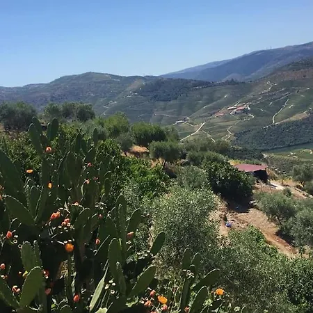 Casa Do Vale - Douro, De Campo Com Piscina Privada, 4 Quartos De Casal