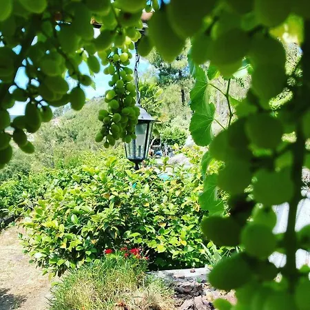 펜션 Casa Do Vale - Douro, De Campo Com Piscina Privada, 4 Quartos De Casal Vilar de Macada