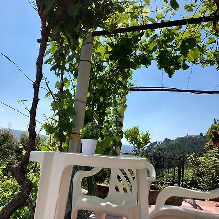 Casa Do Vale - Douro, De Campo Com Piscina Privada, 4 Quartos De Casal