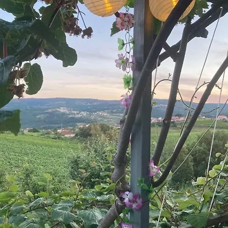 Casa Do Vale - Douro, De Campo Com Piscina Privada, 4 Quartos De Casal 度假居 *