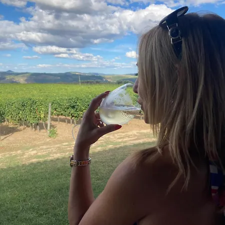 Casa Do Vale - Douro, De Campo Com Piscina Privada, 4 Quartos De Casal 펜션