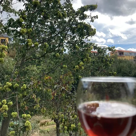 Casa Do Vale - Douro, De Campo Com Piscina Privada, 4 Quartos De Casal * Vilar de Macada