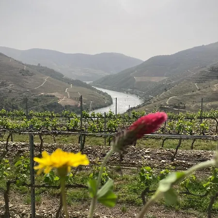Casa Do Vale - Douro, De Campo Com Piscina Privada, 4 Quartos De Casal * Vilar de Macada