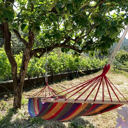 Casa Do Vale - Douro, De Campo Com Piscina Privada, 4 Quartos De Casal *