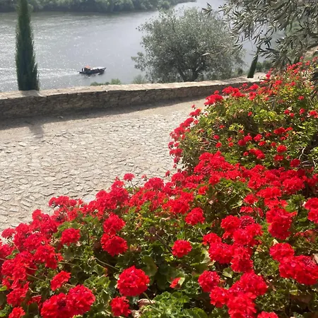 Casa Do Vale - Douro, De Campo Com Piscina Privada, 4 Quartos De Casal 펜션 Vilar de Macada