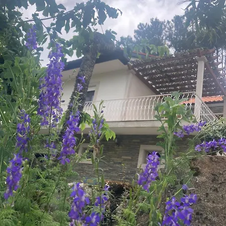 Casa Do Vale - Douro, De Campo Com Piscina Privada, 4 Quartos De Casal * Vilar de Macada