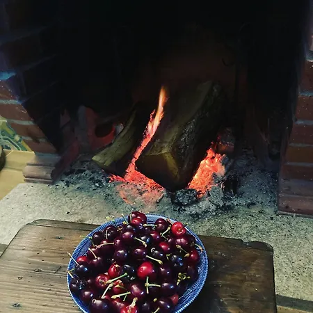 度假居 Casa Do Vale - Douro, De Campo Com Piscina Privada, 4 Quartos De Casal