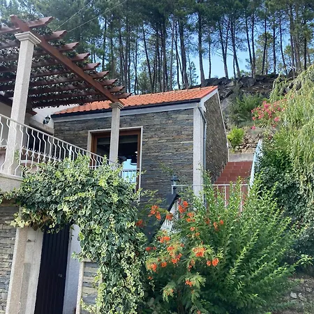 Casa Do Vale - Douro, De Campo Com Piscina Privada, 4 Quartos De Casal 펜션