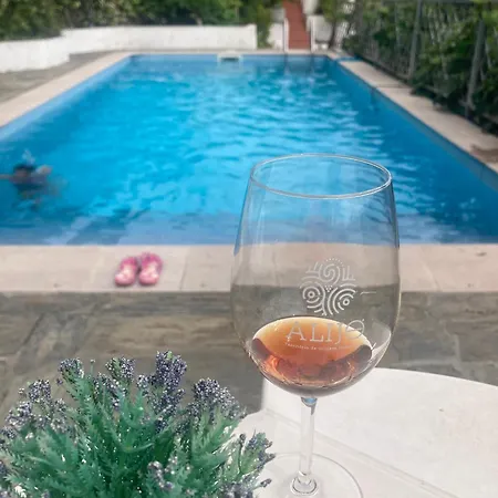 Casa Do Vale - Douro, De Campo Com Piscina Privada, 4 Quartos De Casal 度假居 Vilar de Macada