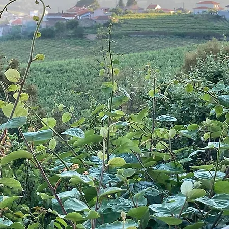 Casa Do Vale - Douro, De Campo Com Piscina Privada, 4 Quartos De Casal Vilar de Macada