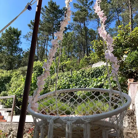 Casa Do Vale - Douro, De Campo Com Piscina Privada, 4 Quartos De Casal 펜션 Vilar de Macada